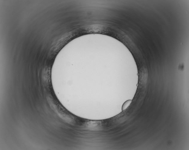 X0000114690126200912021054