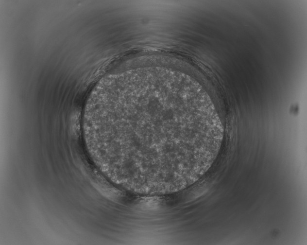 X0000114690127200912021054