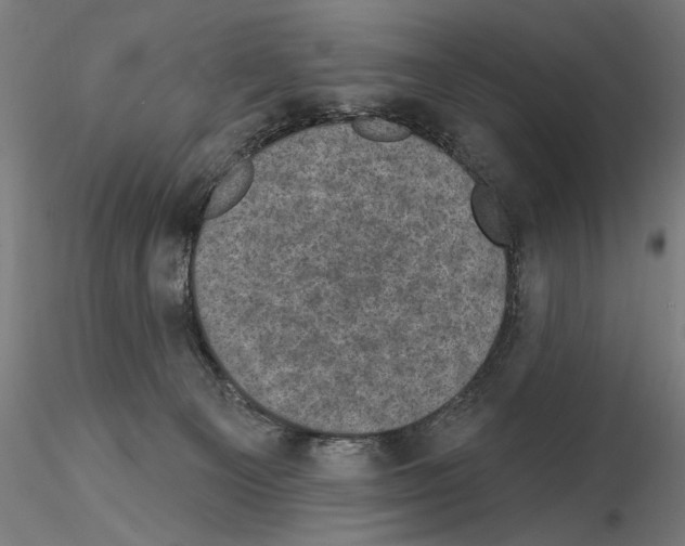 X0000114690129200912021054