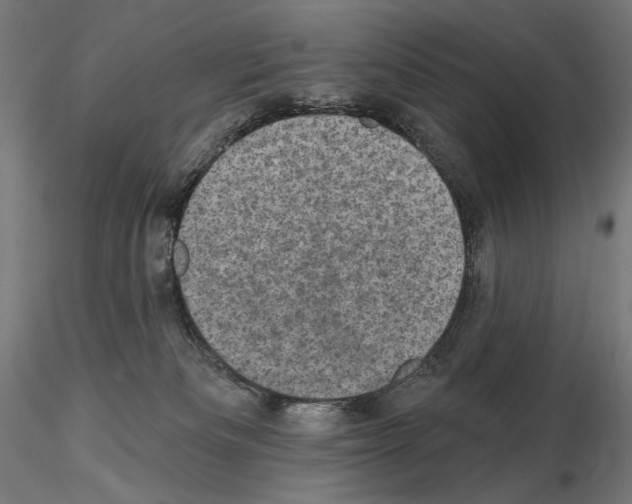 X0000114690133200912021054