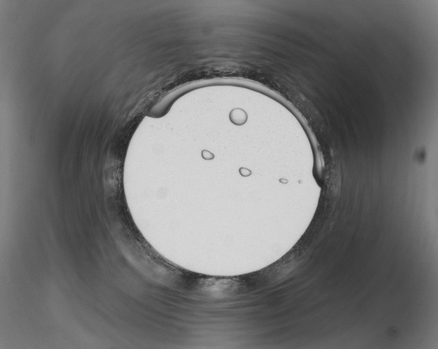 X0000114690135200912021054