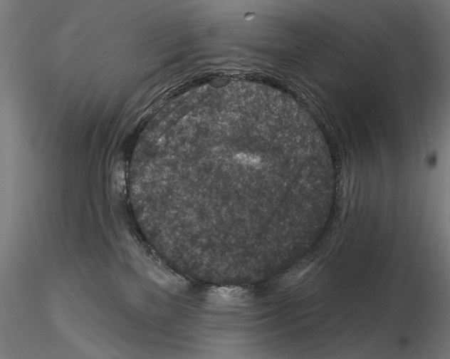 X0000114690137200912021054