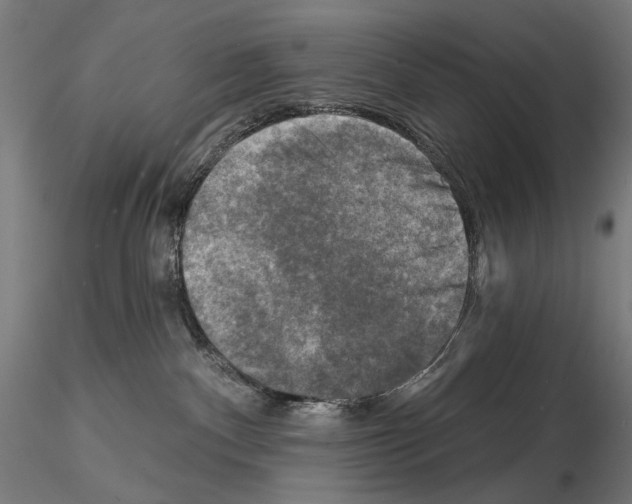 X0000114690140200912021054