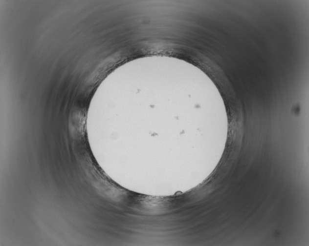 X0000114690142200912021054