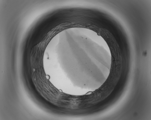 X0000114690143200912021054