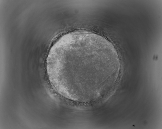 X0000114690144200912021054