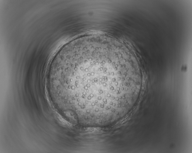 X0000114690145200912021053