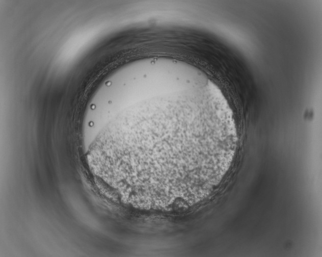 X0000114690146200912021053