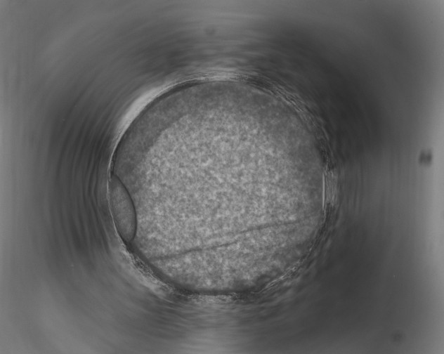 X0000114690147200912021053