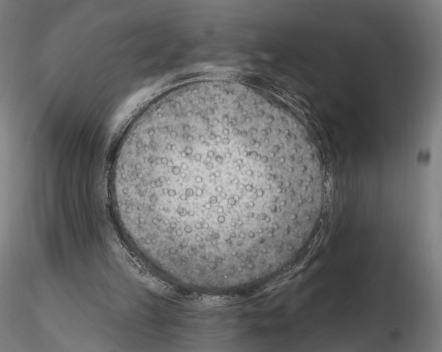 X0000114690149200912021053