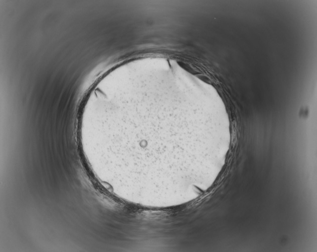 X0000114690150200912021053