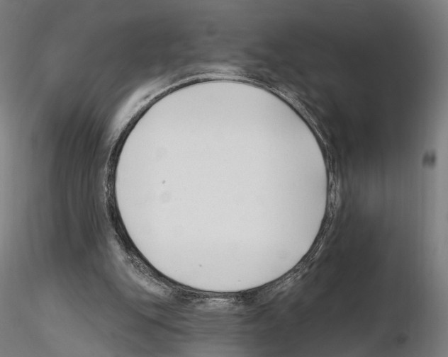 X0000114690151200912021053