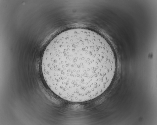 X0000114690153200912021053
