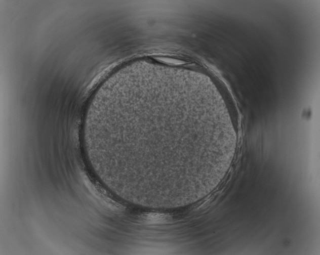 X0000114690154200912021053