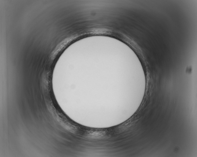 X0000114690155200912021053