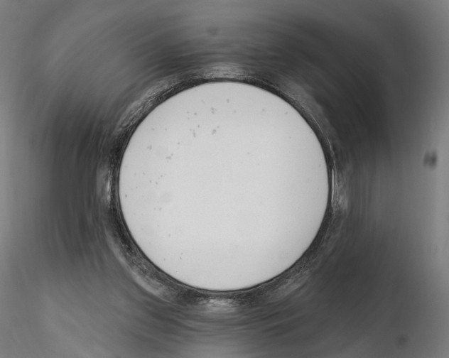 X0000114690157200912021053