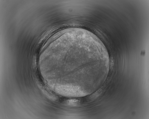 X0000114690158200912021053