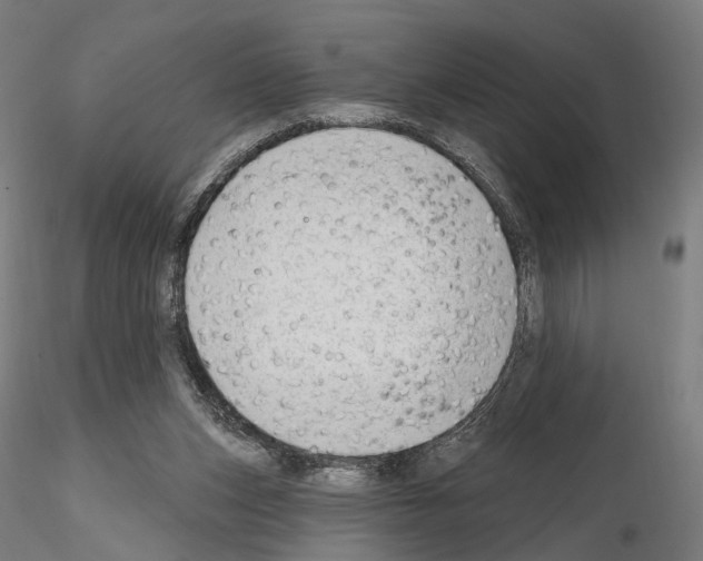 X0000114690159200912021053