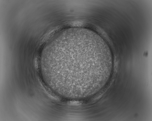 X0000114690161200912021053