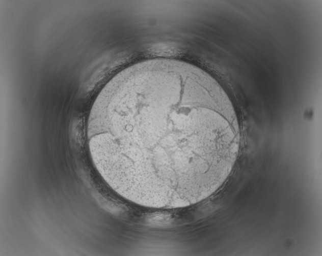 X0000114690162200912021053