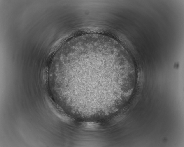 X0000114690165200912021053