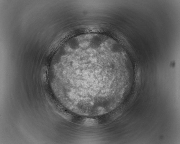 X0000114690169200912021053