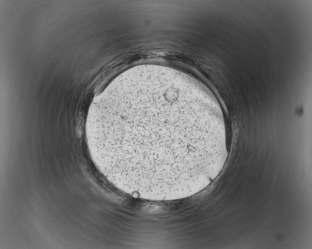 X0000114690174200912021053