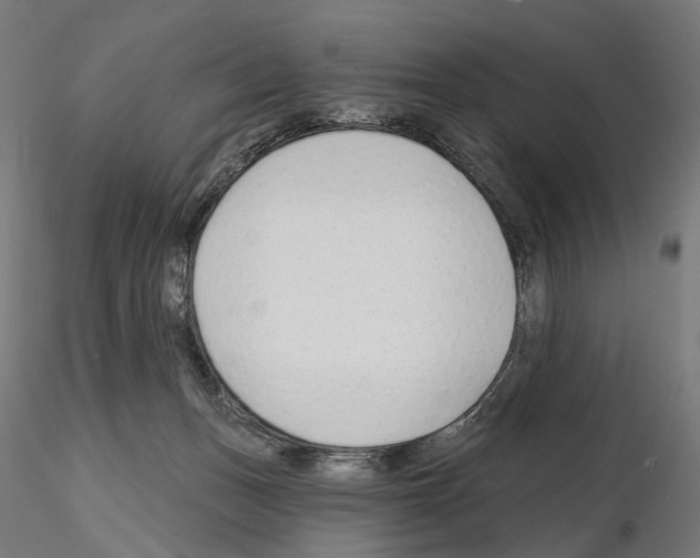 X0000114690175200912021053