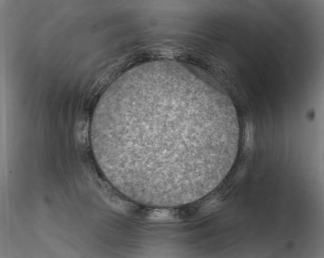 X0000114690177200912021053