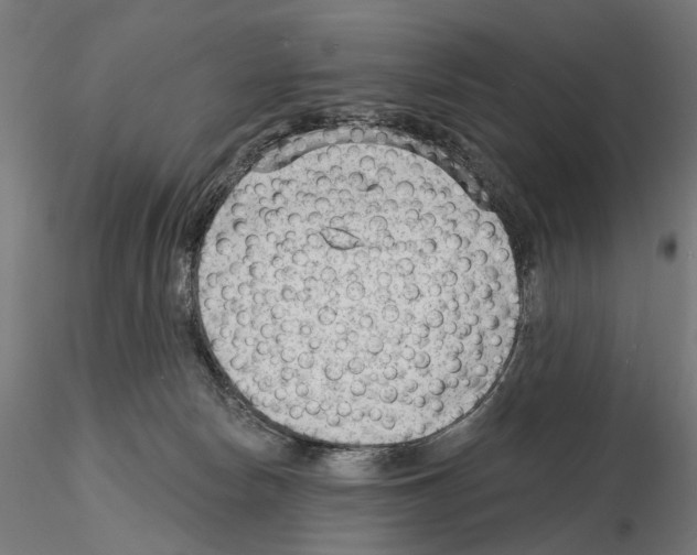 X0000114690178200912021053