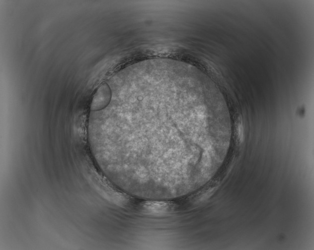 X0000114690181200912021053