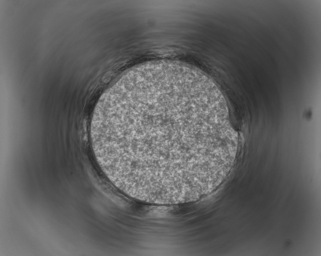 X0000114690182200912021053