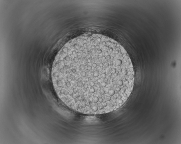 X0000114690183200912021053
