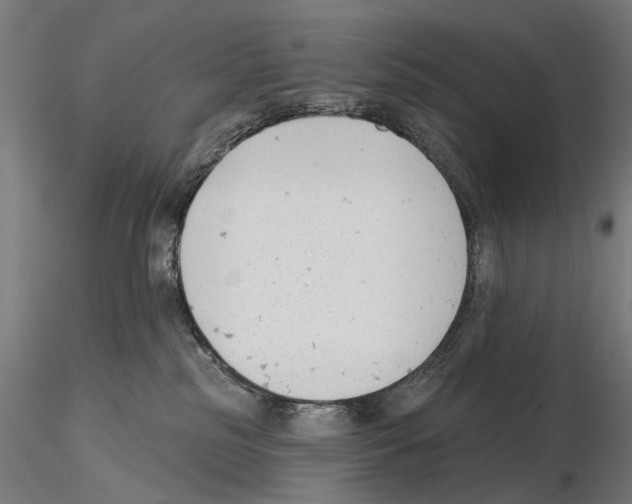 X0000114690185200912021053