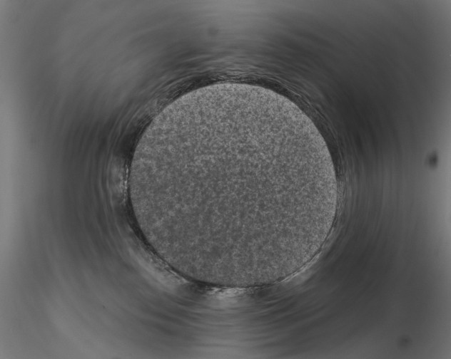 X0000114690186200912021053