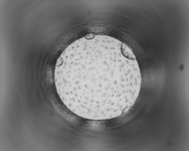 X0000114690187200912021053