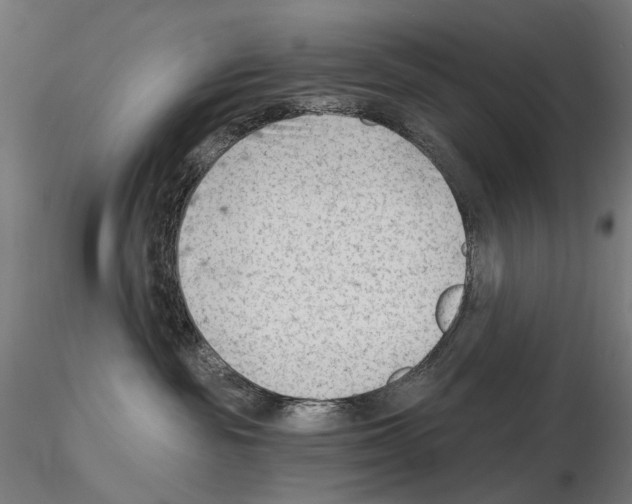 X0000114690189200912021053