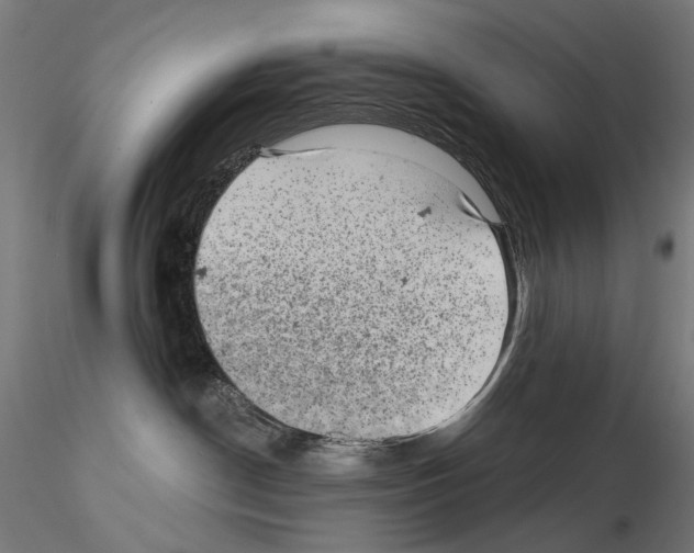 X0000114690190200912021053