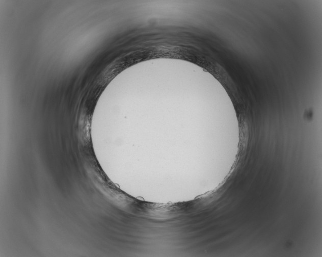 X0000114690191200912021053