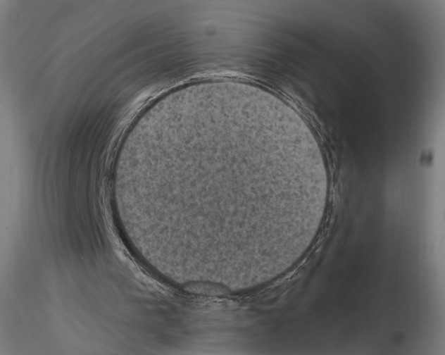 X0000114690193200912021053