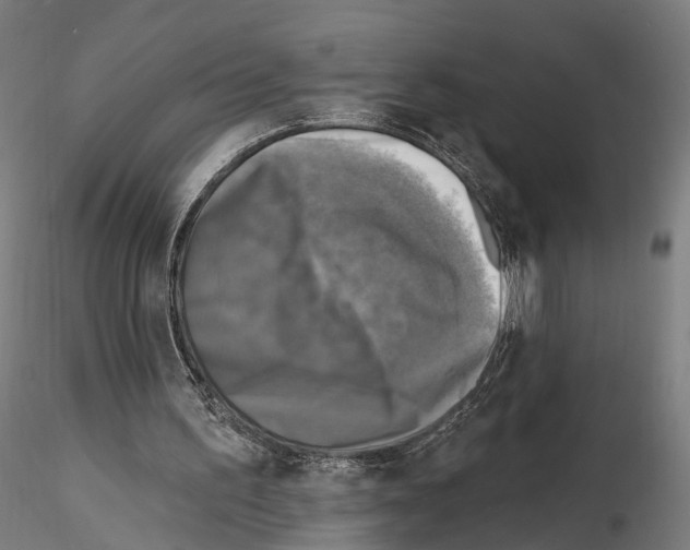 X0000114690195200912021053