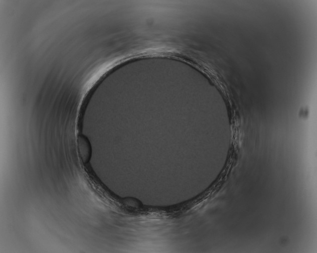 X0000114690196200912021053