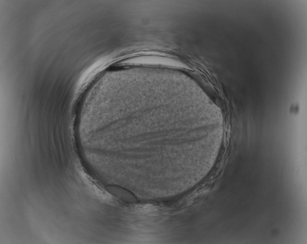 X0000114690197200912021053