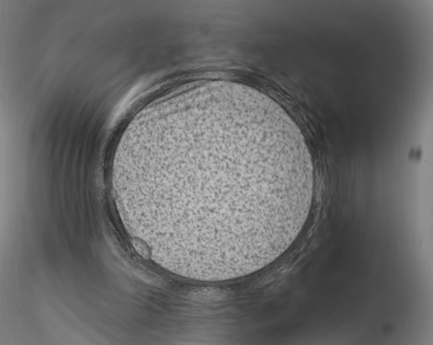 X0000114690198200912021053