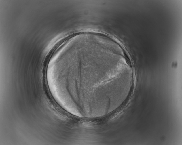X0000114690199200912021053