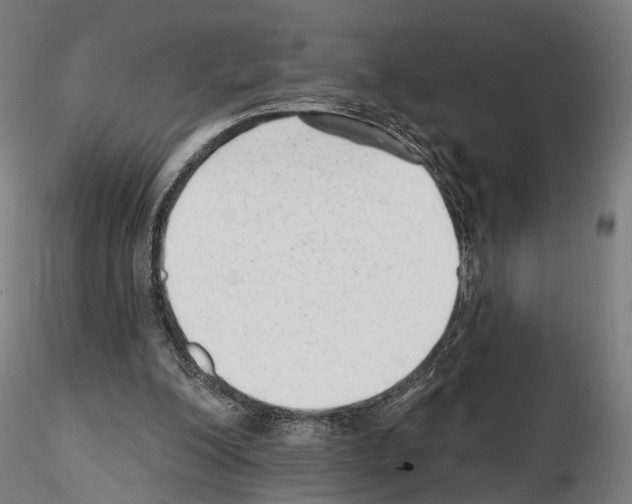 X0000114690200200912021053