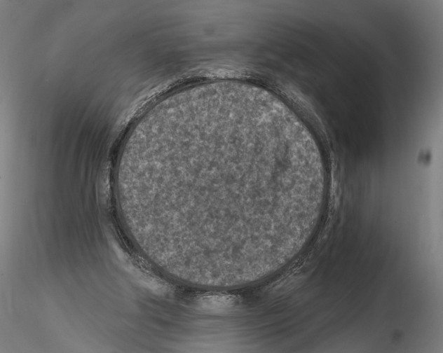 X0000114690202200912021053