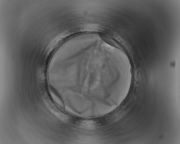 X0000114690203200912021053