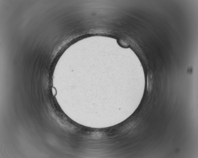 X0000114690204200912021053