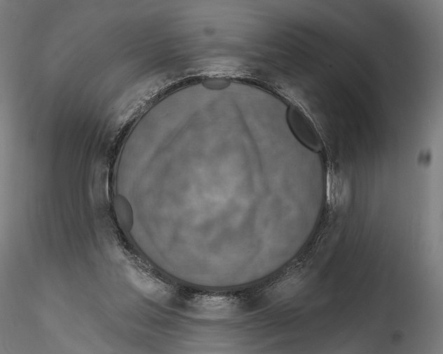 X0000114690205200912021053